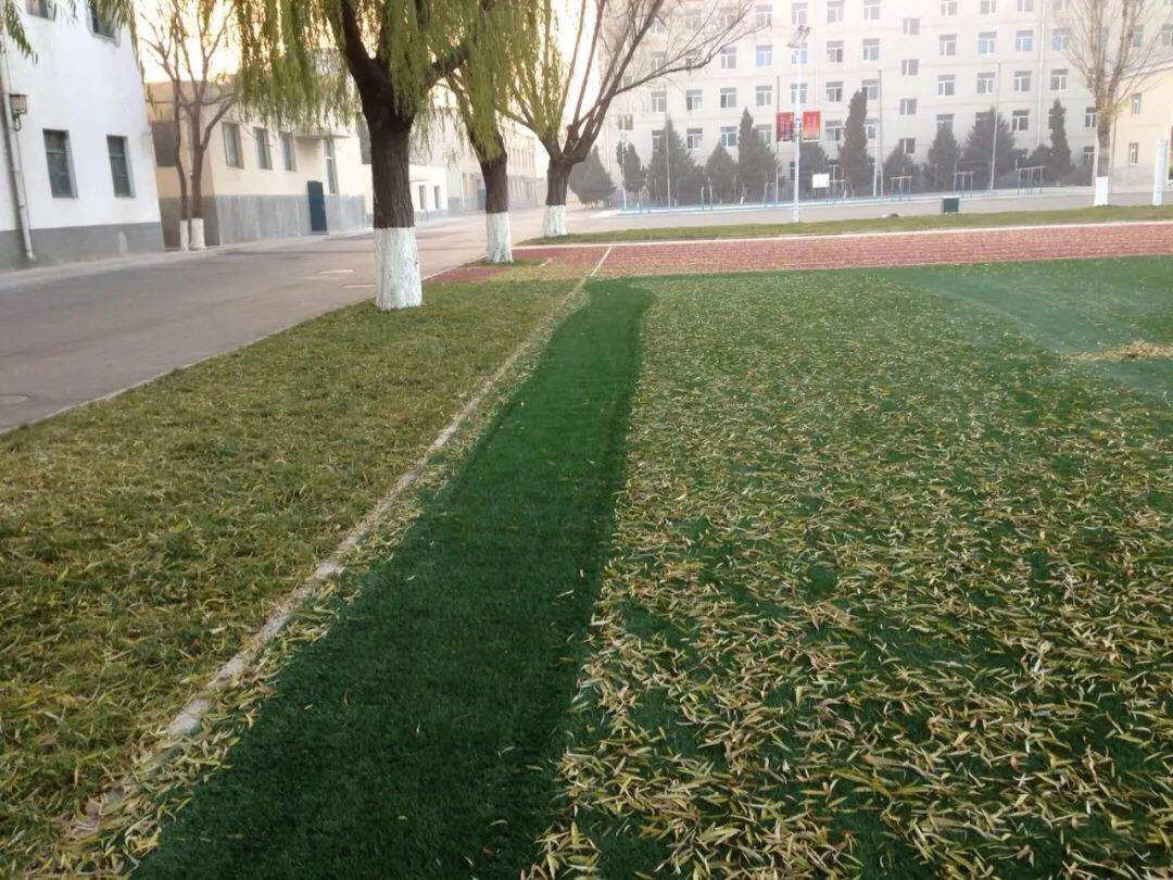 微信图片_20181016135114.jpg 微信图片_20181016135114.jpg