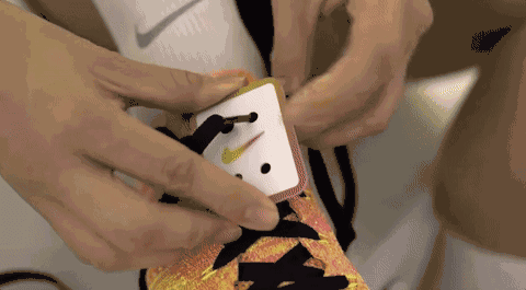 17.gif 17.gif